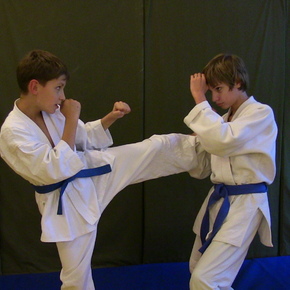 секции единоборств в оренбурге степной